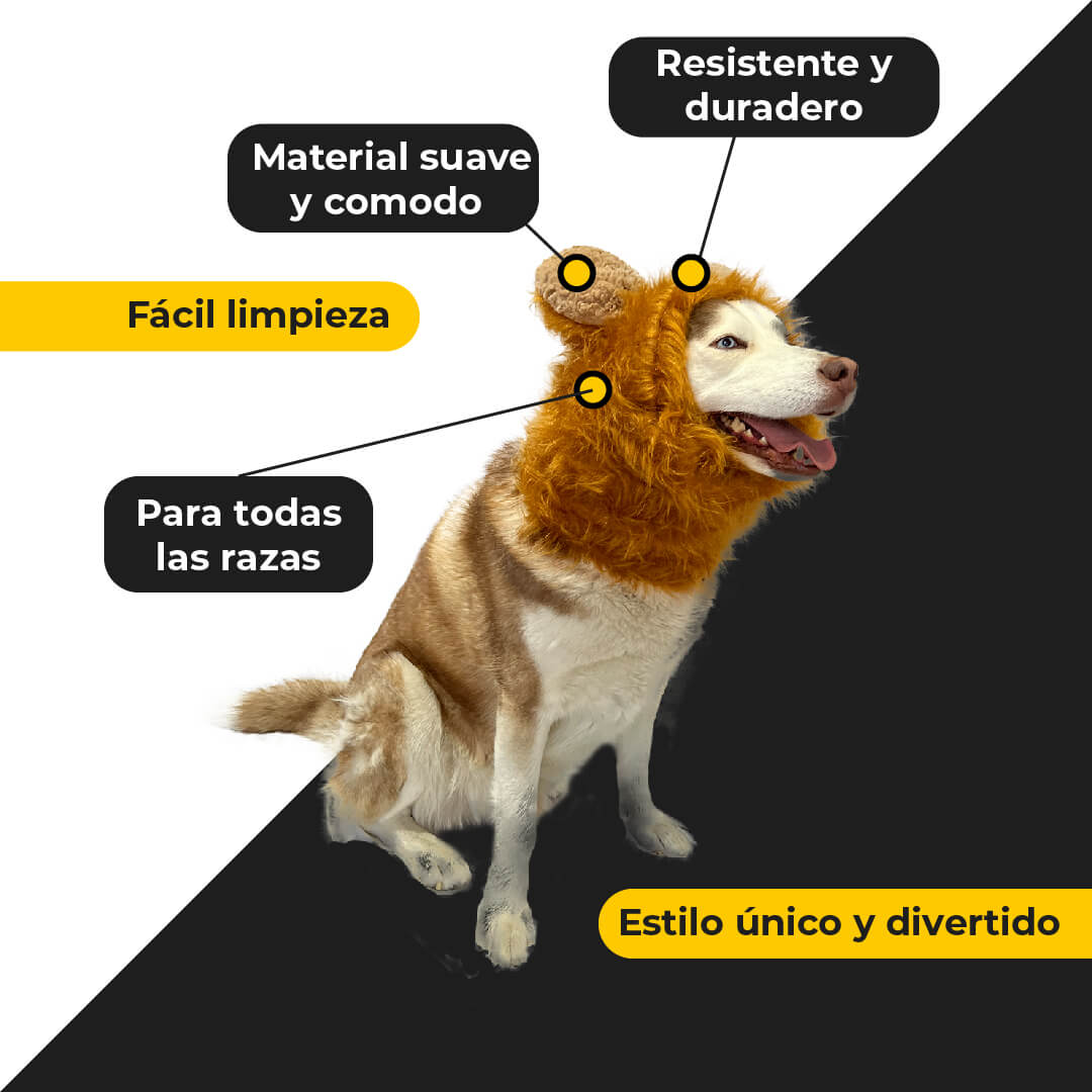 Melena de león para mascota