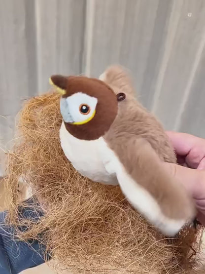 Juguete Pájaro Gatos Peluche Electrico